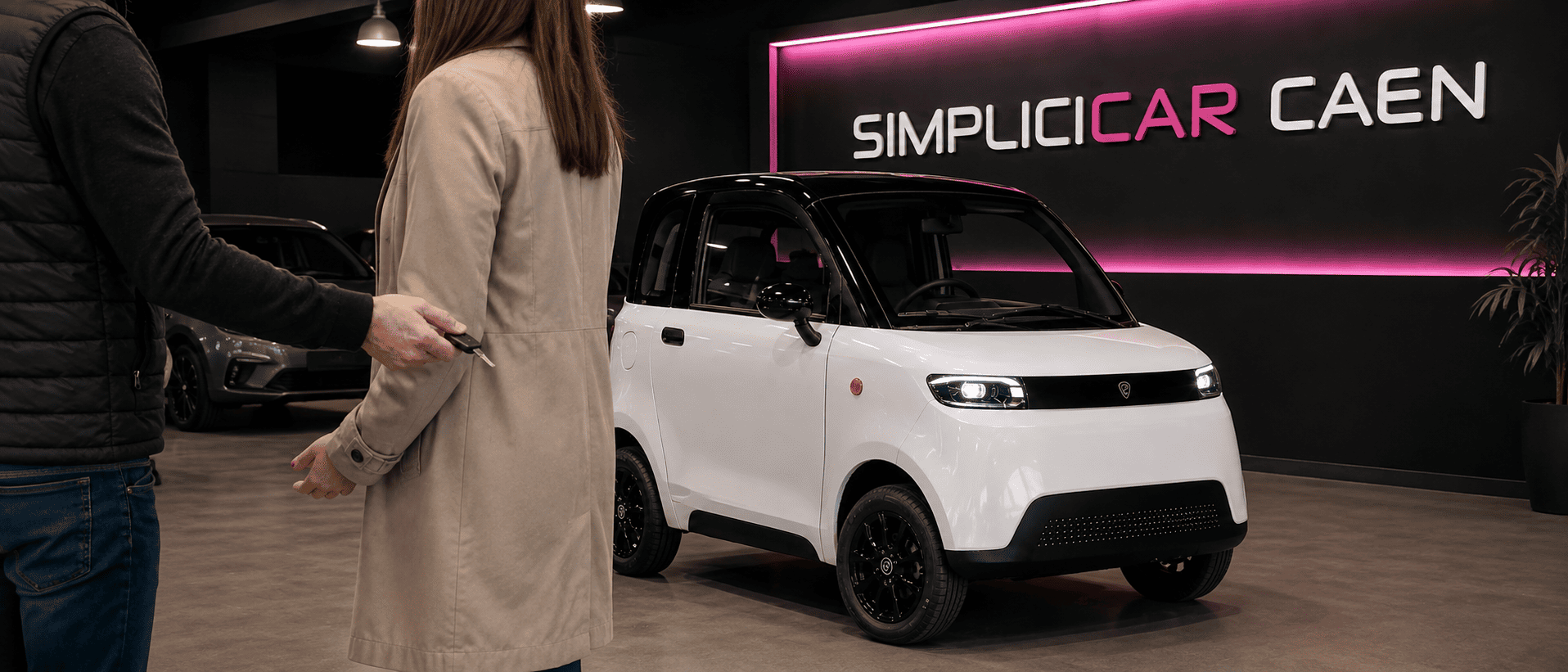 Vendre une VSP electrique à Caen Calvados